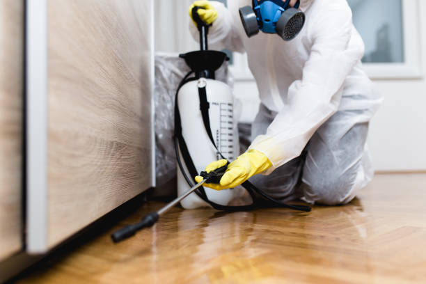 Best Pest Prevention Services  in Monroe, OH