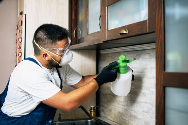 Best Emergency Pest Control  in Monroe, OH