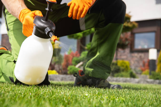 Best Wildlife Control Services  in Monroe, OH