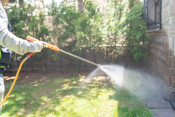 Best Termite Control Services  in Monroe, OH