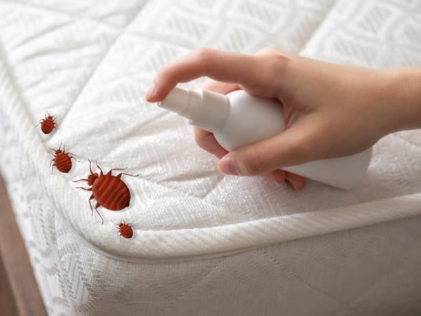 Best Spider Control Near Me  in Monroe, OH