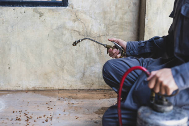 Best Local Pest Control Services  in Monroe, OH